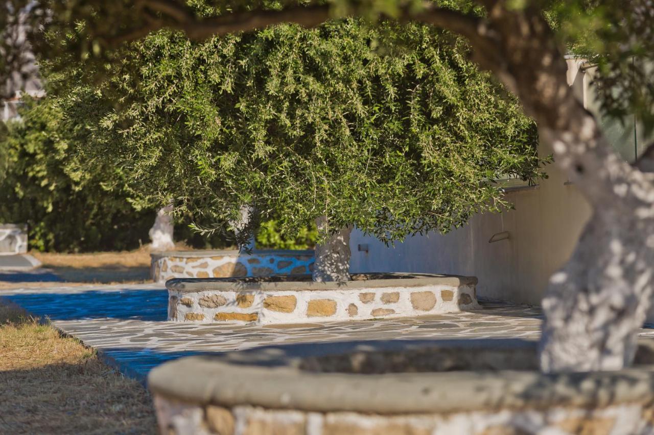 Olive Studios Karpathos Studio #4 Exterior foto