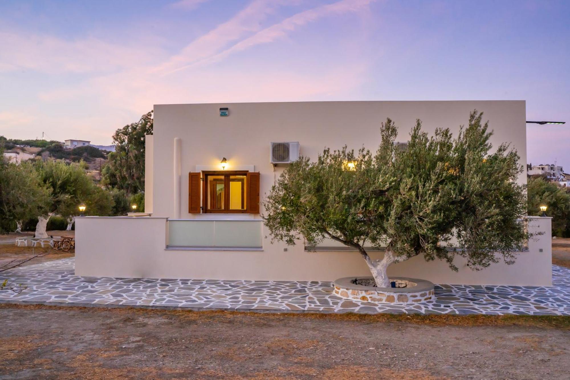 Olive Studios Karpathos Studio #4 Exterior foto