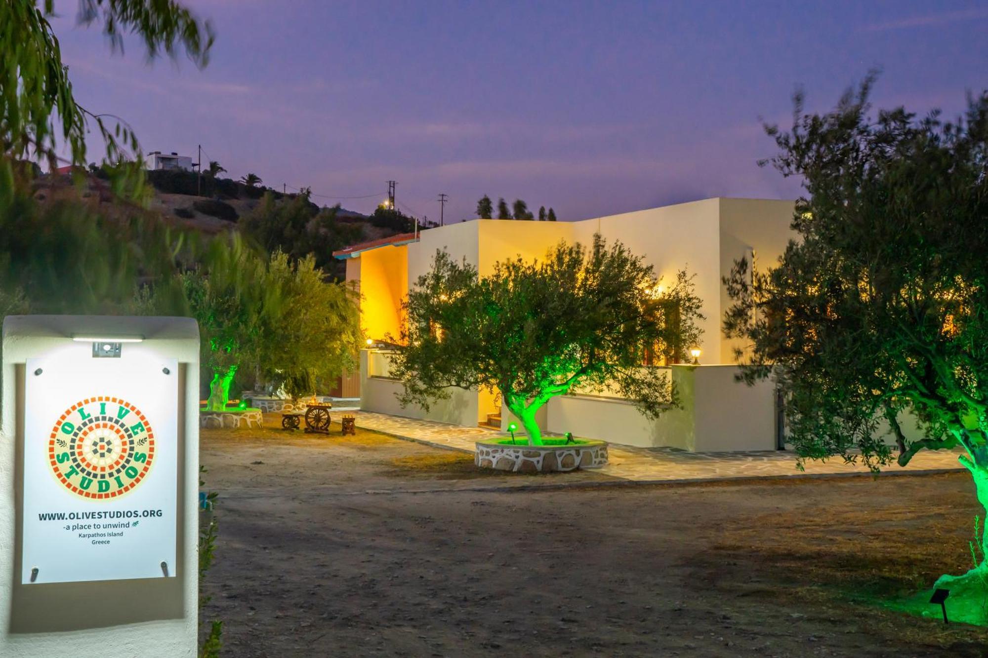 Olive Studios Karpathos Studio #4 Exterior foto